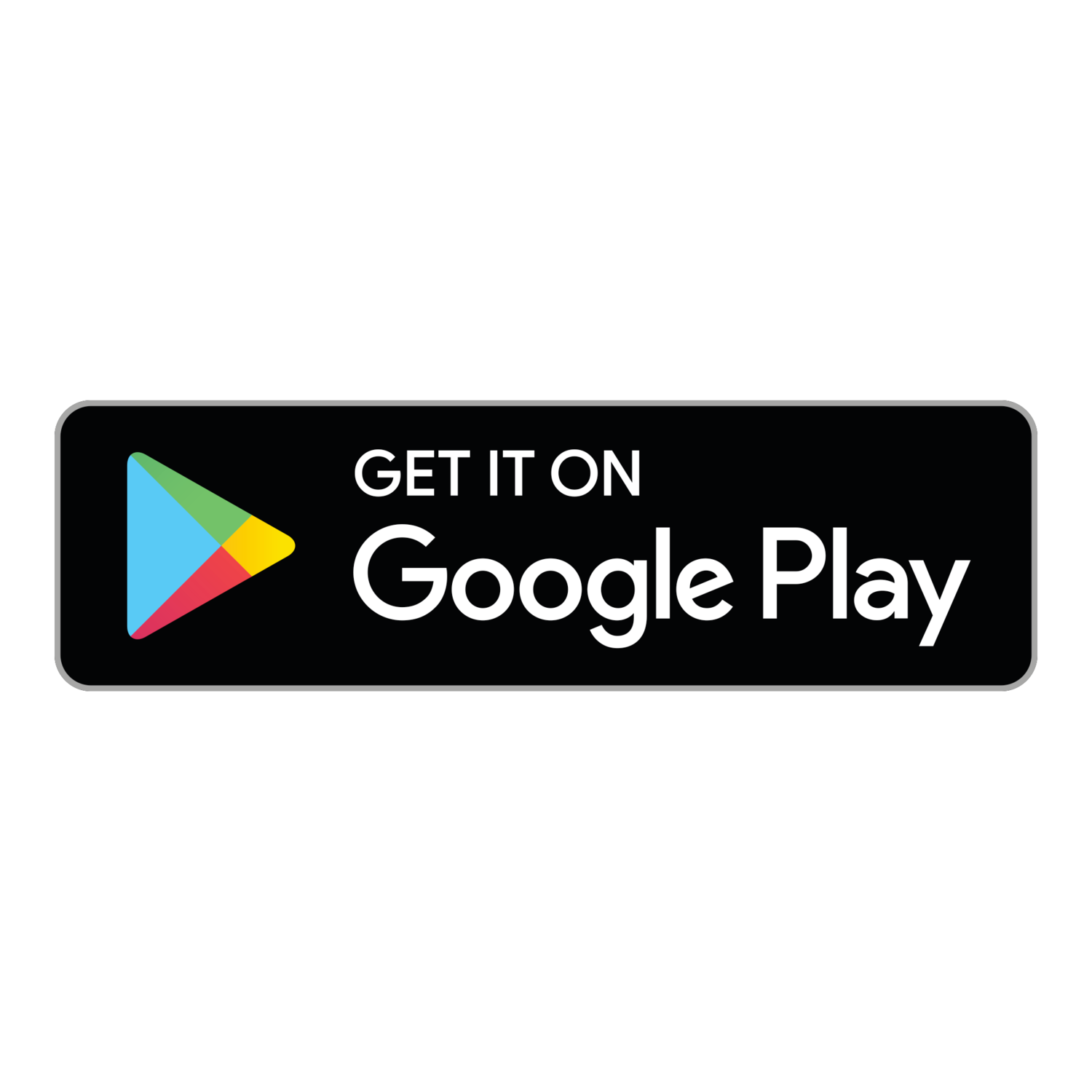 Play Store Logo